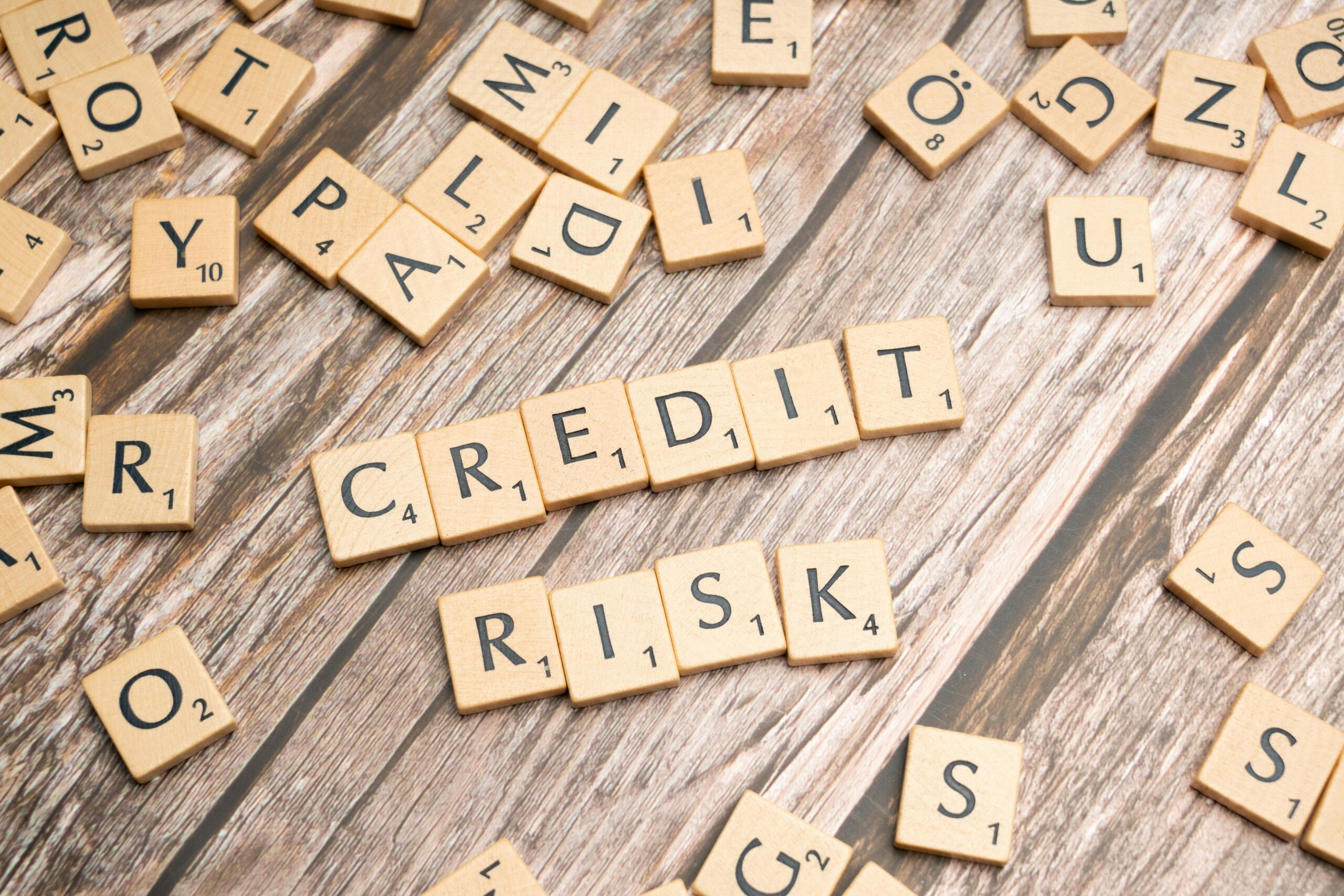Advanced Statistical Methods in Credit Risk Modeling